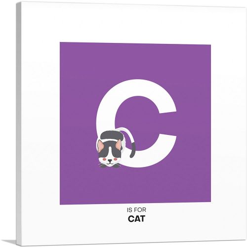 Kids Animal Alphabet Letter C