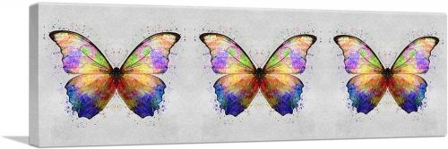 Three Rainbow Colorful Butterfly Wings Insect