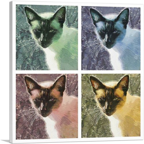 Snowshoe Cat Breed Collage