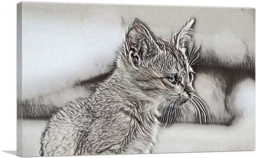Abyssinian Cat Breed Sketch