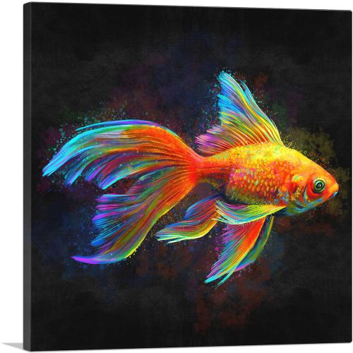 Goldfish Freshwater Aquarium Fish