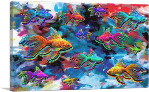 Goldfish Freshwater Aquarium Fishes Rectangle