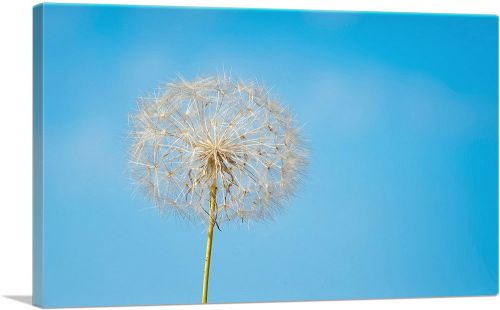 Dandelion Blue Sky Photo Rectangle