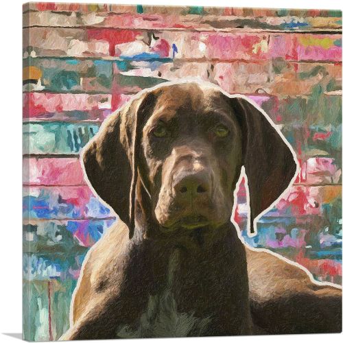 German Shorthaired Pointer Dog Breed Colorful Graffiti