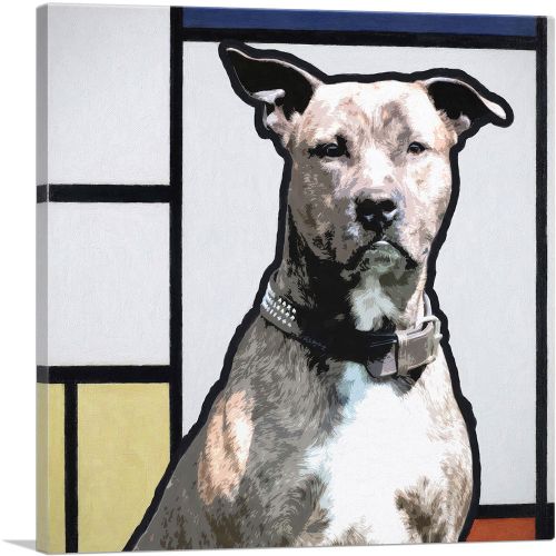 Pit Bull Terrier Dog Breed Modern