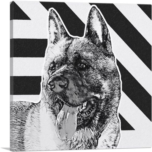 Akita Dog Breed Black White Lines