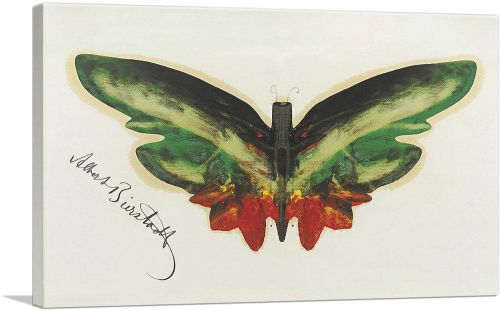 Green Butterfly