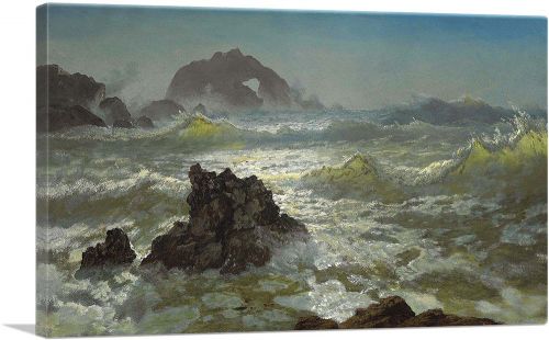 Seal Rock California 1872