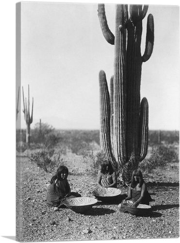 Seguaro Gatherers 1907