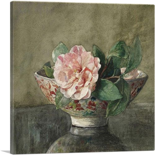Camellia In Old Chinese Vase On Black Lacquer Table