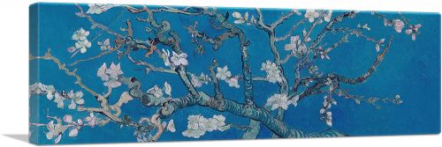 Branches with Almond Blossom - Blue Panoramic