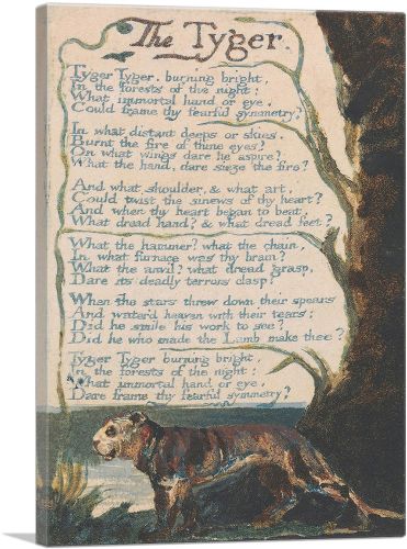 The Tyger - Plate 36