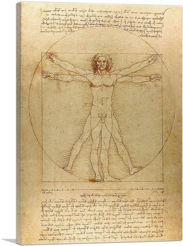 The Vitruvian Man 1485