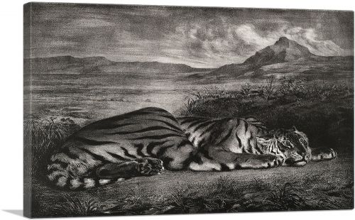 Royal Tiger 1829