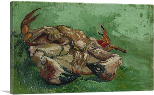 A Crab on its Back 1888