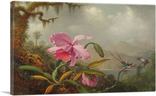 Orchids and Hummingbirds 1890