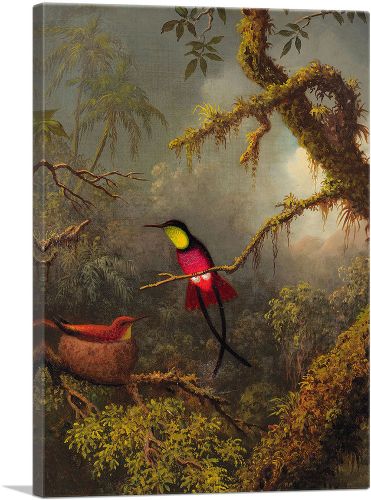A Pair of Nesting Crimson Topaz Hummingbirds 1883