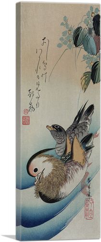 Two Mandarin Ducks 1838