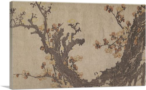 Ancient Plum Tree in Bloom 1800