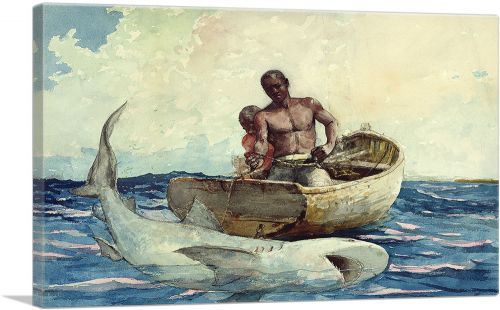 Shark Fishing 1885