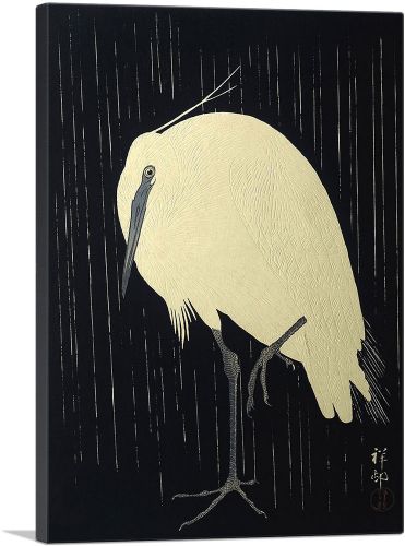 White Heron Standing in the Rain