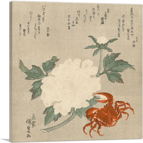 Crab and White Flower 1835