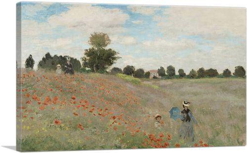 Poppy Field 1873