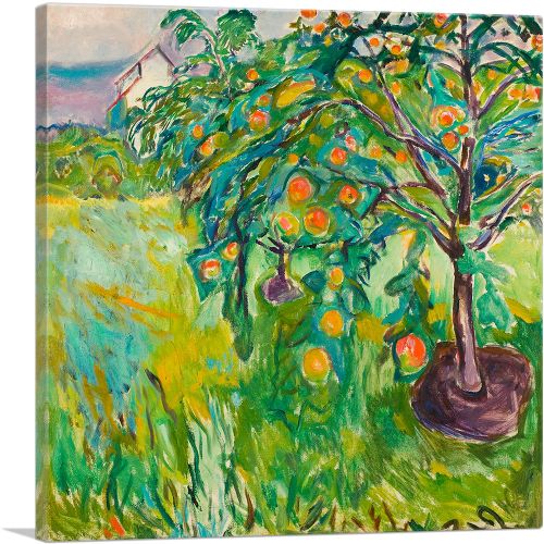 Apple Tree by the Studio 1920