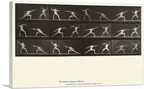 The Human Figure in Motion - Nude Men Fencing