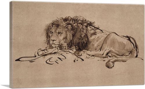A Lion Lying Down 1650