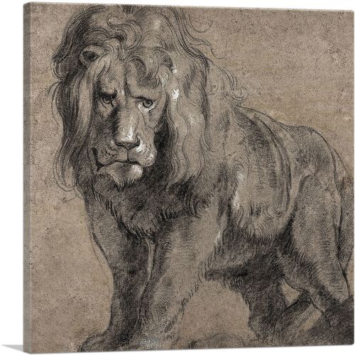 Lion 1613