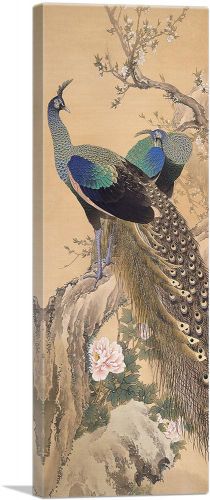 A Pair of Peacocks In Spring 1901