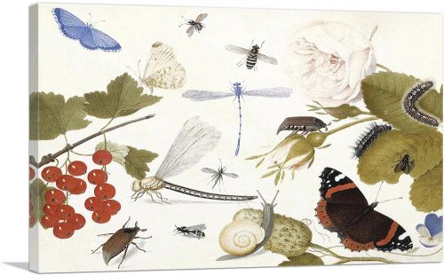 Still Life Of Insects With Fruit And Flowers