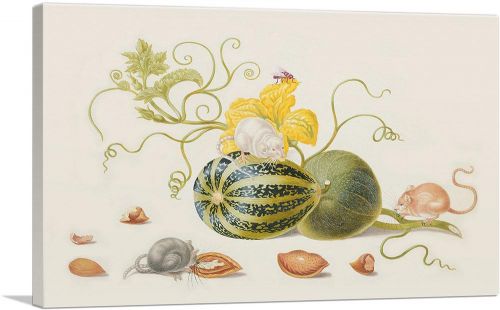 Mice With Squash And Nuts 1705