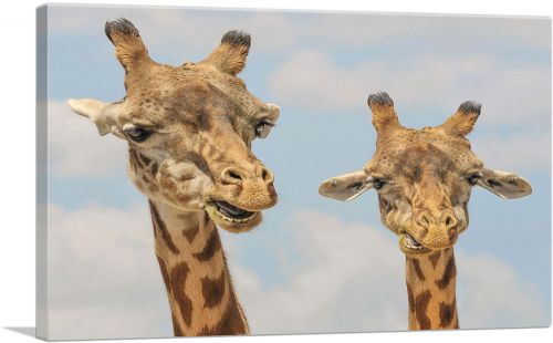 Giraffe Safari Zoo decor