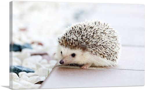 Hedgehog Home Decor Rectangle