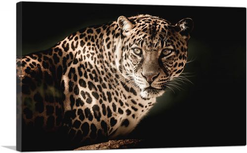 Leopard Face Home decor