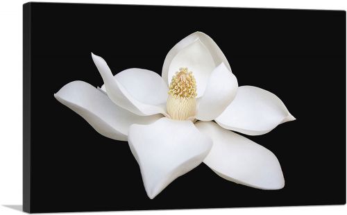Magnolia White Flower Home Decor Rectangle