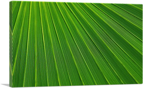 Abstract Green Leaf
