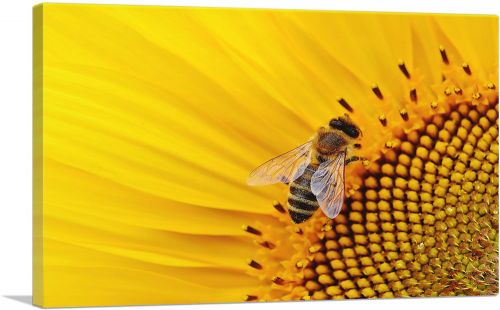 Bee On Sunflower Home decor