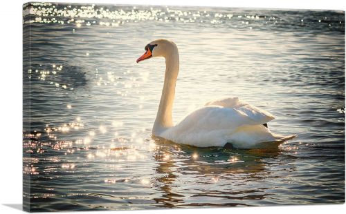 Swan In Lake Home Decor Rectangle