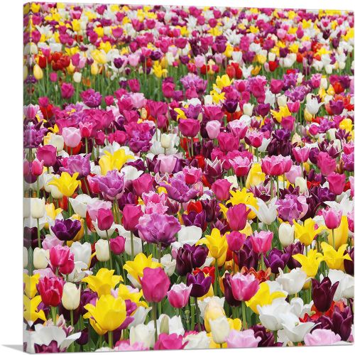 Tulips Pattern Home Decor Square