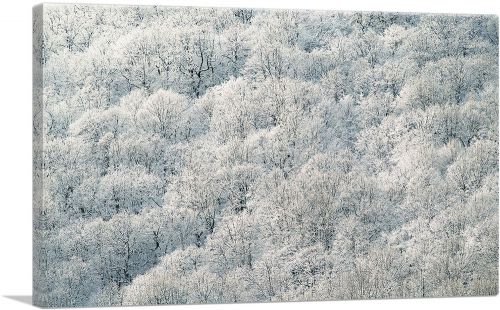 Winter Forest Home decor