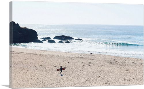 Beach Surf Surfing Board