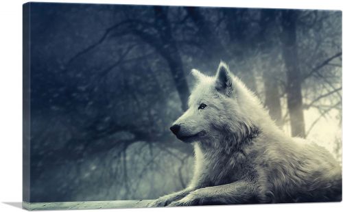 White Wolf in Forest