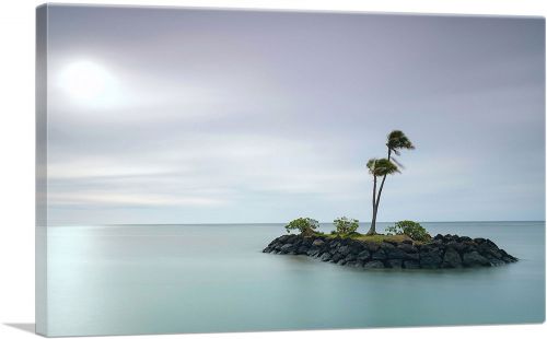 Tiny Island with Two Palm Trees in Honolulu Hawaii