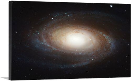 Hubble Telescope Grand Design Spiral Galaxy M81