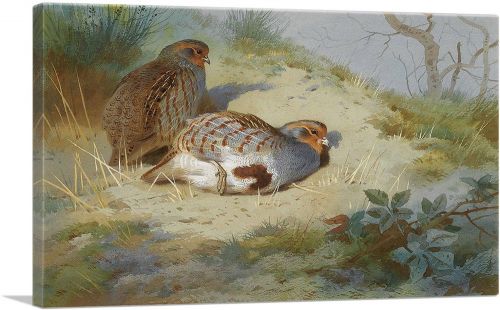 A Pair Of Partridges On a Sandy Bank 1915