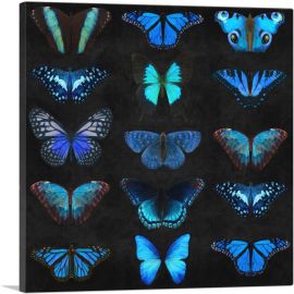Navy Baby Blue Butterfly Wings Insect Black-1-Panel-36x36x1.5 Thick