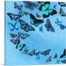 Baby Blue Black Butterfly Wings Insect-1-Panel-26x26x.75 Thick